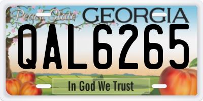 GA license plate QAL6265