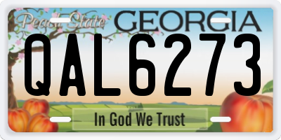 GA license plate QAL6273