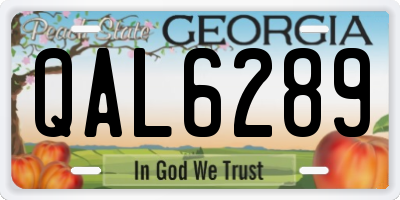 GA license plate QAL6289