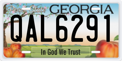 GA license plate QAL6291
