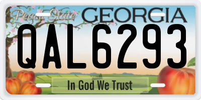 GA license plate QAL6293