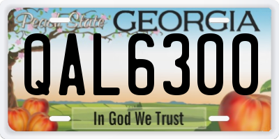 GA license plate QAL6300