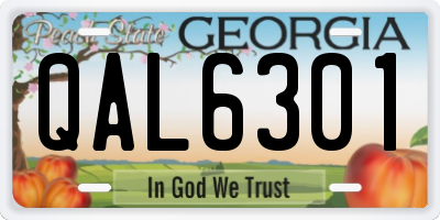 GA license plate QAL6301