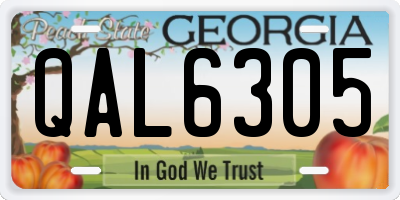 GA license plate QAL6305