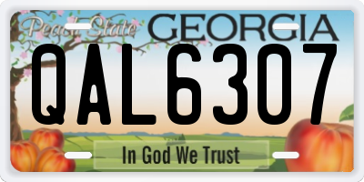 GA license plate QAL6307