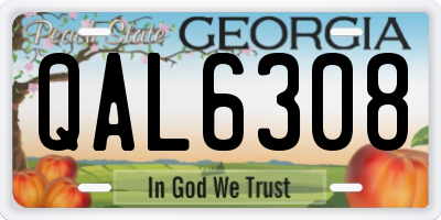 GA license plate QAL6308
