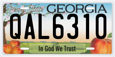 GA license plate QAL6310