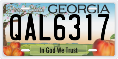 GA license plate QAL6317