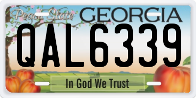 GA license plate QAL6339