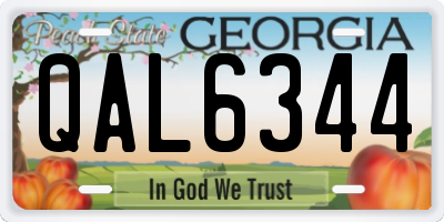 GA license plate QAL6344
