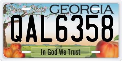 GA license plate QAL6358
