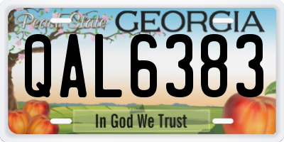 GA license plate QAL6383