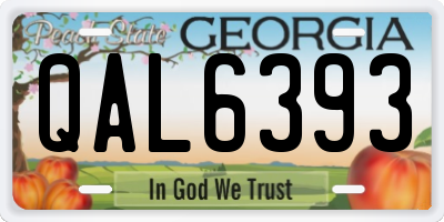 GA license plate QAL6393