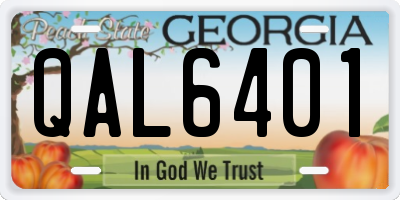 GA license plate QAL6401