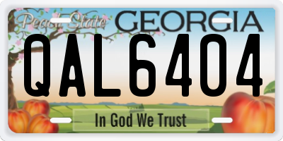 GA license plate QAL6404