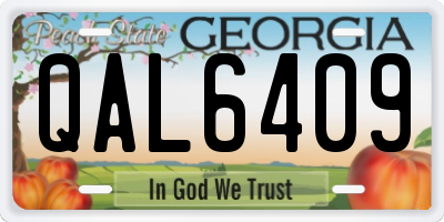 GA license plate QAL6409