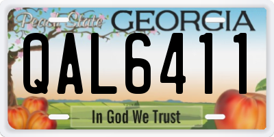 GA license plate QAL6411