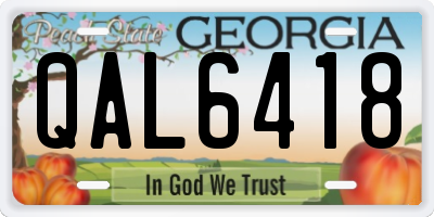 GA license plate QAL6418