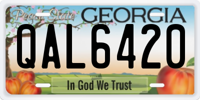 GA license plate QAL6420