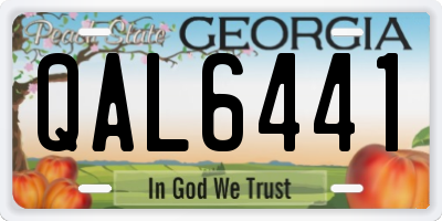 GA license plate QAL6441