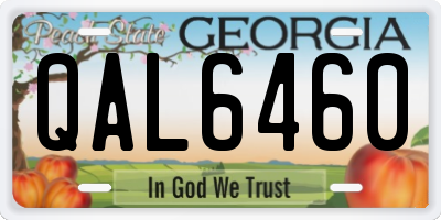 GA license plate QAL6460