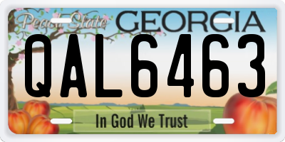 GA license plate QAL6463