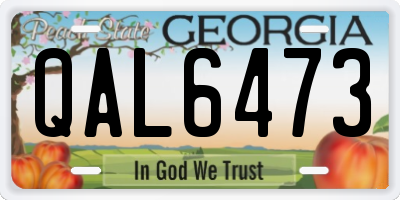 GA license plate QAL6473