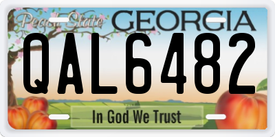 GA license plate QAL6482