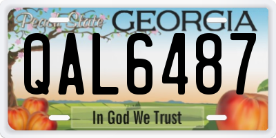 GA license plate QAL6487