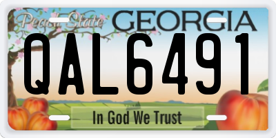 GA license plate QAL6491