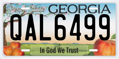 GA license plate QAL6499