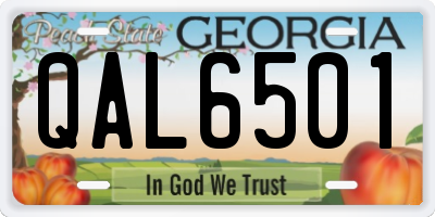 GA license plate QAL6501