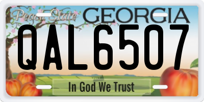 GA license plate QAL6507