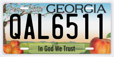 GA license plate QAL6511