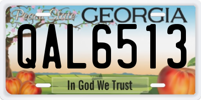 GA license plate QAL6513