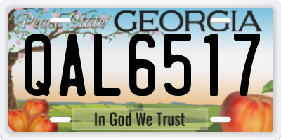 GA license plate QAL6517