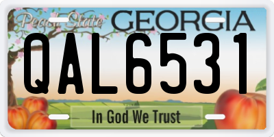 GA license plate QAL6531