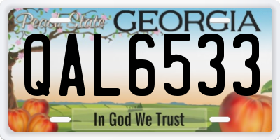 GA license plate QAL6533