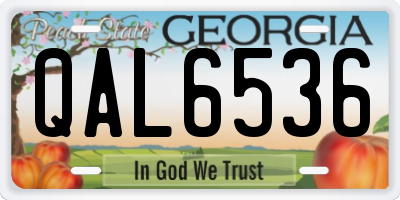 GA license plate QAL6536