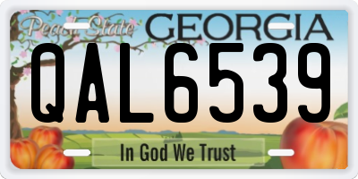 GA license plate QAL6539