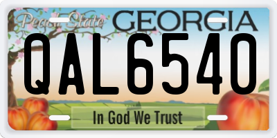 GA license plate QAL6540