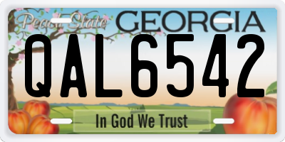 GA license plate QAL6542