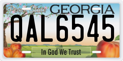 GA license plate QAL6545