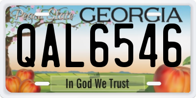 GA license plate QAL6546