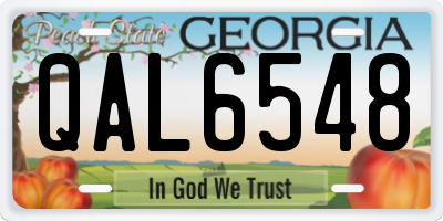 GA license plate QAL6548