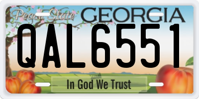 GA license plate QAL6551