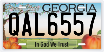 GA license plate QAL6557