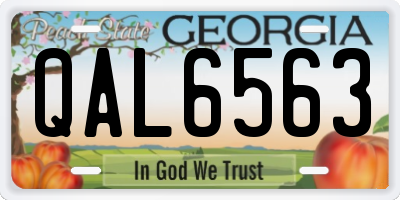 GA license plate QAL6563