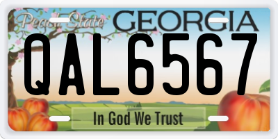 GA license plate QAL6567