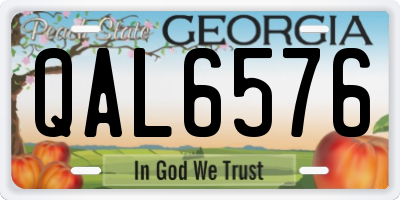 GA license plate QAL6576